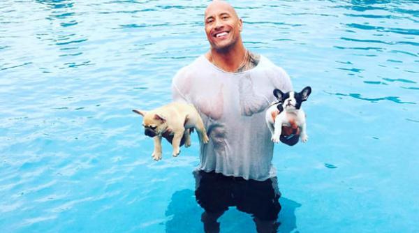 dwayne johnson si a salvat cainele de la inec
