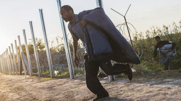 politistii au oprit doua grupuri de migranti la granita cu ungaria