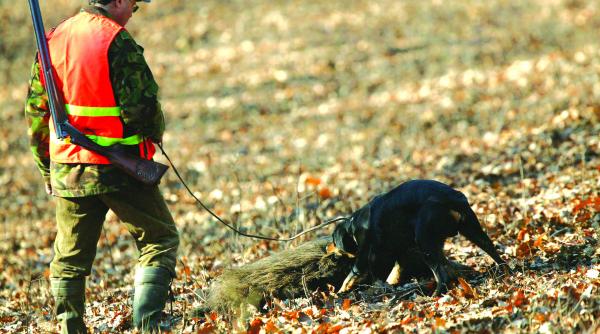 aberant fermierii nu au voie sa alunge mistretii