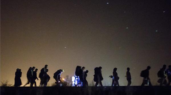 numar record de imigranti sositi in ungaria