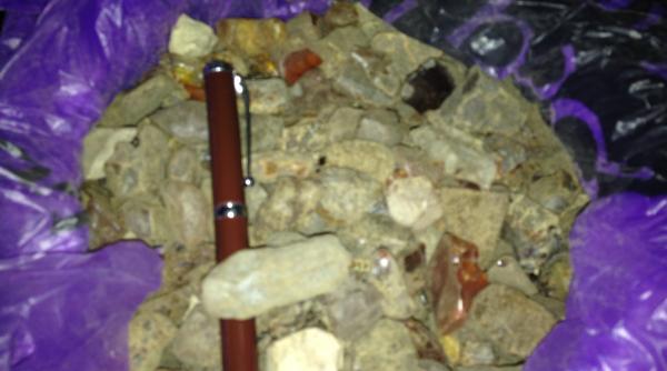 captura importanta de chihlimbar la vama albita