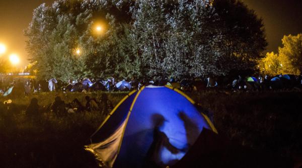 consiliul national pentru combaterea discriminarii atrage atentia ca unele declaratii referitoare imigranti sunt degradante si umilitoare