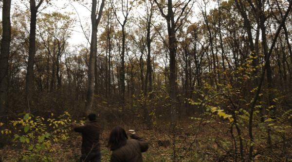 procurorii diicot au destructurat o grupare specializata in taieri ilegale de paduri