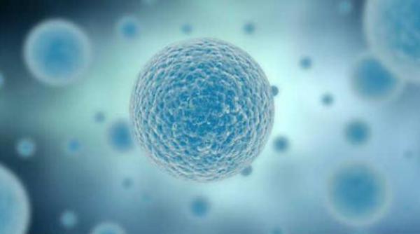 cercetatorii britanici vor sa modifice genetic embrioni umani