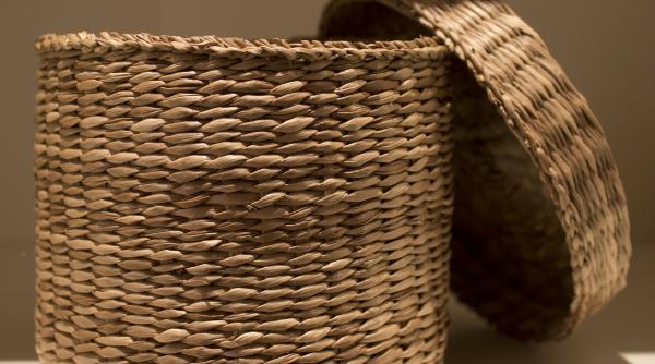 a fost abandonat intr un cos ce au spus cei care l au gasit