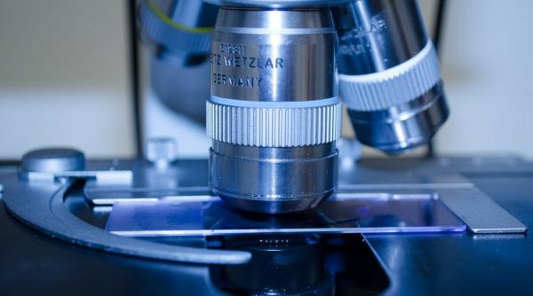 focar de gonoree in marea britania