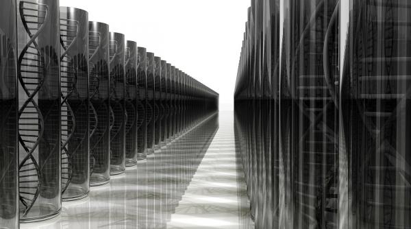 harta genetica a 2 3 milioane de specii de vietuitoare in format digital