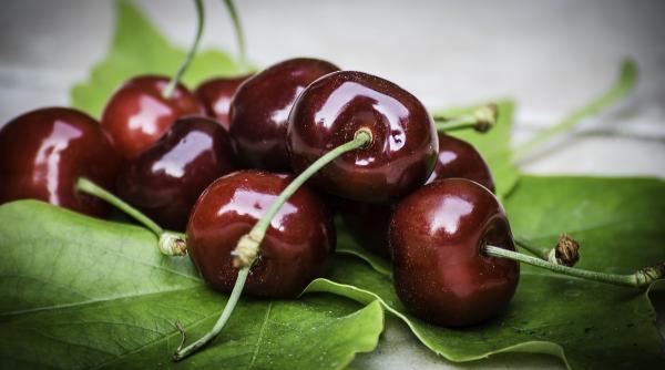 remedii naturiste impotriva pietrelor la rinichi