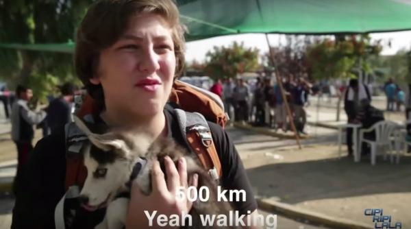 video aslan si rose povestea adolescentului sirian care calatoreste alaturi de catelusa lui