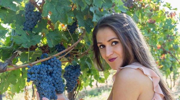 cum va fi productia de vin din 2015 mai putina cantitate dar de o calitate mai buna