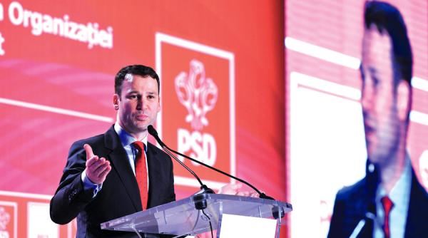 negoita vrea detronarea lui dragnea