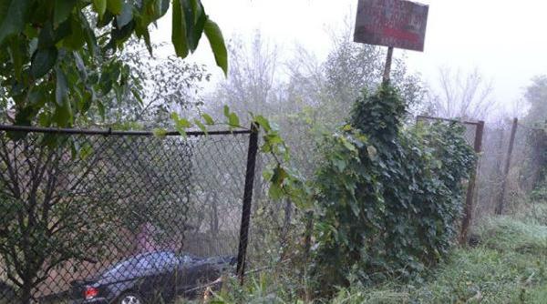 un sofer a intrat cu masina in curtea unei cabane fara sa deschida poarta