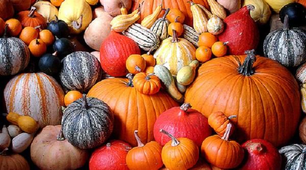 cancer colesterol cistita afla ce boli poti trata sau preveni daca adaugi dovleacul in alimentatie