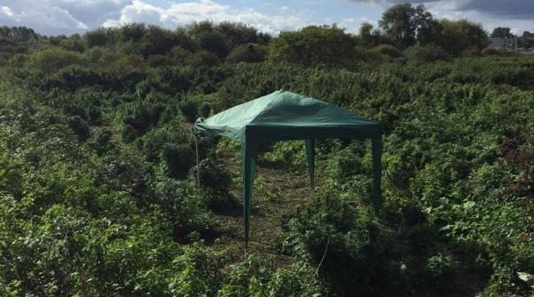 descoperire uluitoare la periferia londrei politistii au fost socati