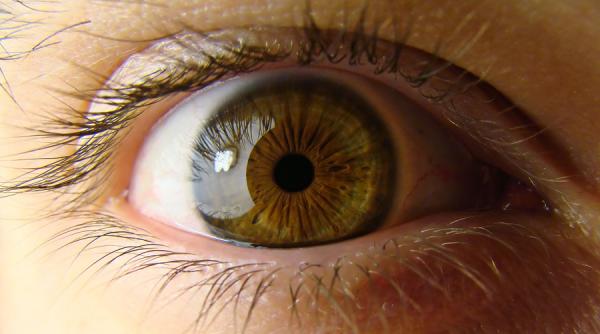 fosti lucratori ai serviciilor de informatii angajati la apa nova bucuresti pentru filaje si interceptari referat dna