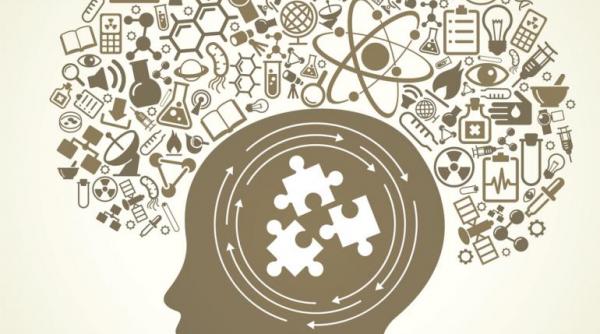 sunt barbatii mai inteligenti decat femeile cat de mult conteaza marimea creierului