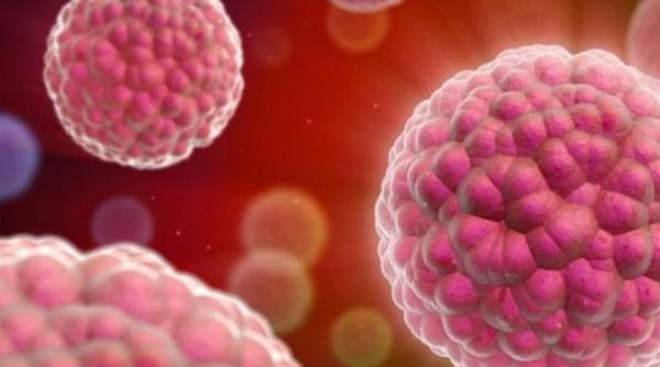 unul din alimentele noastre preferate cauzeaza cancer