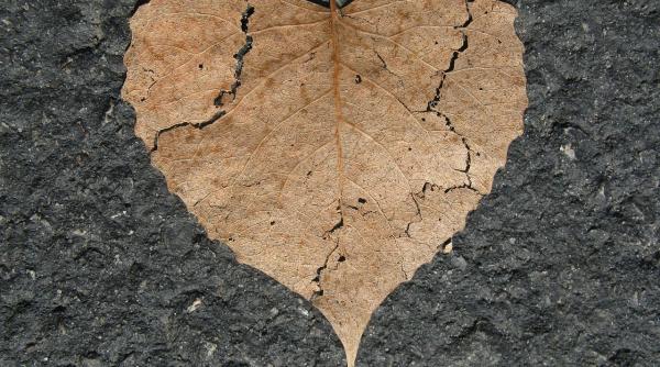 inima franta nu este doar o metafora e o boala uneori mortala