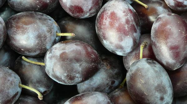 medicamentul miraculos din prune ce boli trateaza