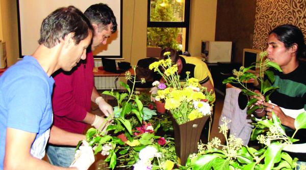 cat de greu se integreaza romii pe piata muncii