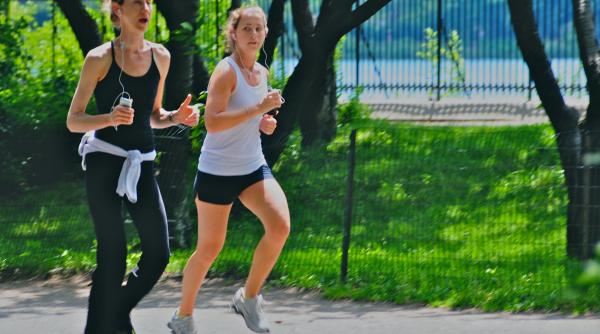 trei ingrediente indispensabile unui organism echilibrat