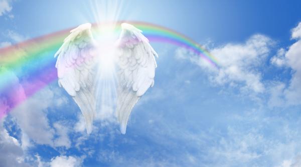 escrocherii pentru oameni disperati