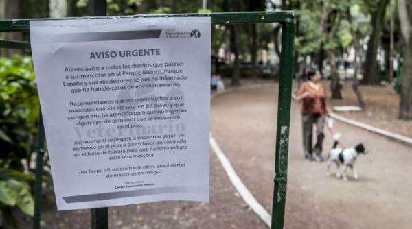 in mexic este cautat un criminal in serie de caini