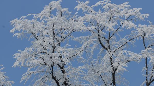 a inceput sa ninga in piatra neamt cod portocaliu de zapada intensificari de vant polei in suceava si neamt imagini live pe webcam jurnalul ro