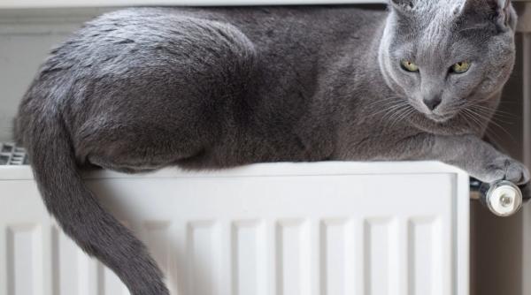 luni incepe sezonul facturilor la caldura