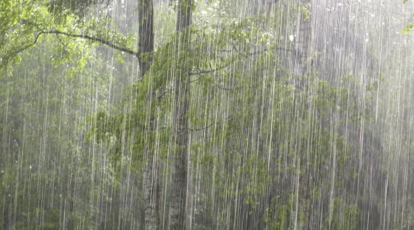 prognoza meteo 12 octombrie cod galben de ploi