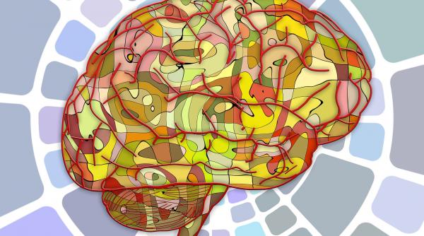 la fel ca amprenta digitala activitatea cerebrala este proprie fiecarui individ studiu