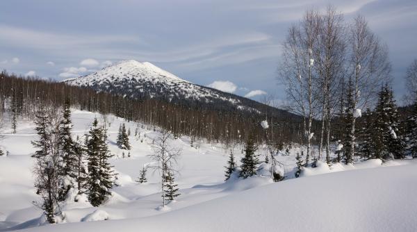 locuitorii unui sat din siberia au renuntat la alcool ce li s a intamplat dupa aceasta decizie