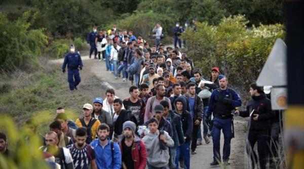 fiecare imigrant din romania va primi peste 1 100 de lei luna