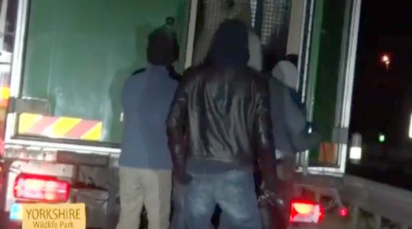 video in ce fel de camion s au urcat cativa imigranti pentru a ajunge in marea britanie