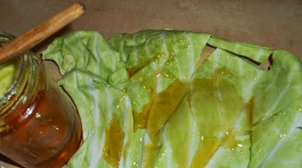 19 antibiotice naturale pe care le poti gasi la tine in camara cum sa lupti eficient cu infectiile