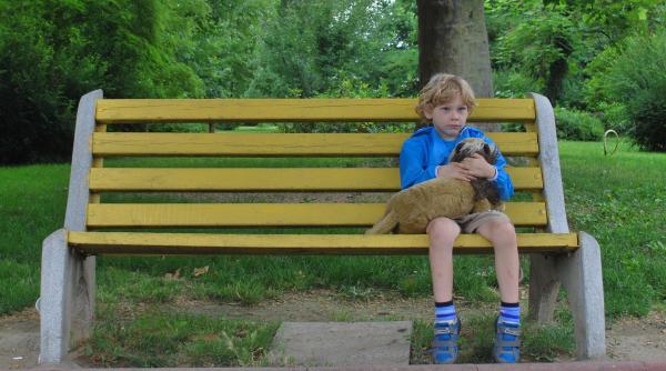 in dolj 7 800 elevi au unul sau ambii parinti plecati in strainatate