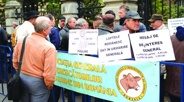 protest sub geamul ministrului constantin