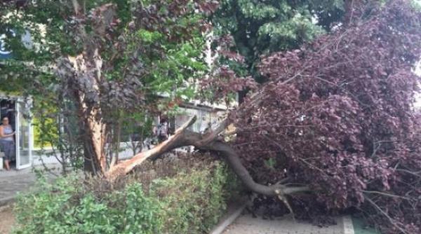 cod galben de furtuna astazi in mai multe regiuni