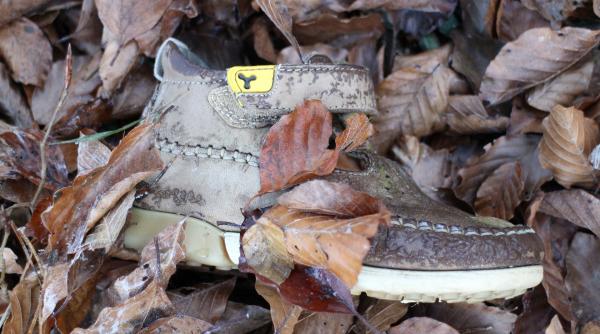 minor disparut cautat de zeci de politisti si jandarmi