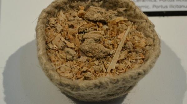 garum condimentul fabulos al antichitatii ce stim azi despre potentiatorii de gust ai anticilor