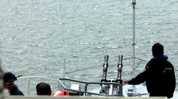 garda de coasta a confiscat 5 tone de rapane pescuite ilegal