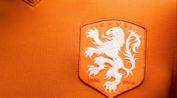 lovitura calificarilor olanda sta acasa