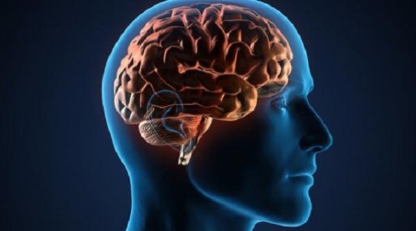 12 1 alimente super sanatoase pentru creier