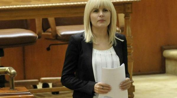 dna vrea incatusarea elenei udrea pentru o vila renovata pe spaga