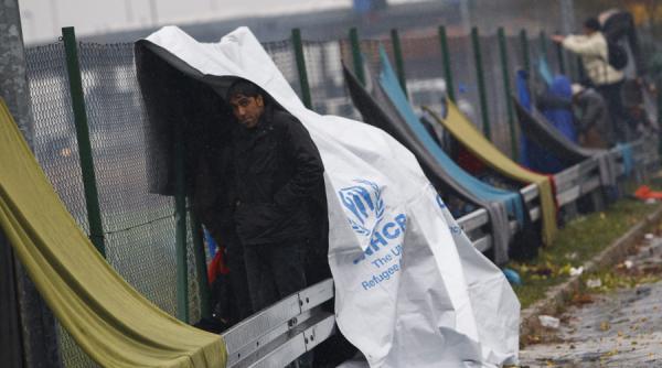 peste 5 000 de personlitati din industria cinematografica au semnat un apel pentru rezolvarea corecta a crizei refugiatilor