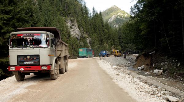 eia jumatate din taierile de paduri din romania sunt ilegale schweighofer pare sa fie principalul beneficiar