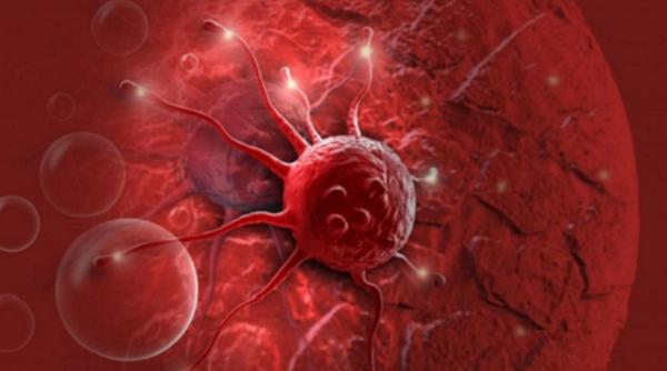 cancerul mostenire genetica intre mit si realitate tot ce trebuie sa stii despre eredtatea cancerului