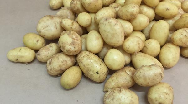 sucul de cartofi remediul natural pentru numeroase boli