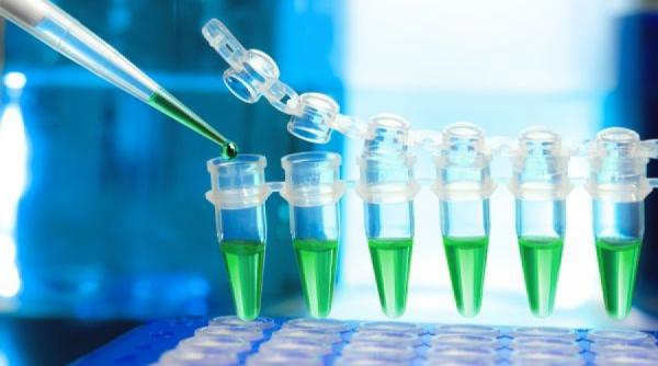 caz de himerism genetic in sua geamanul nenascut al unui barbat este tatal copilului sau