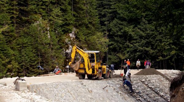 sute de metri cubi de gorun si stejar au fost confiscati de la o firma de prelucrare a lemnului din judetul neamt